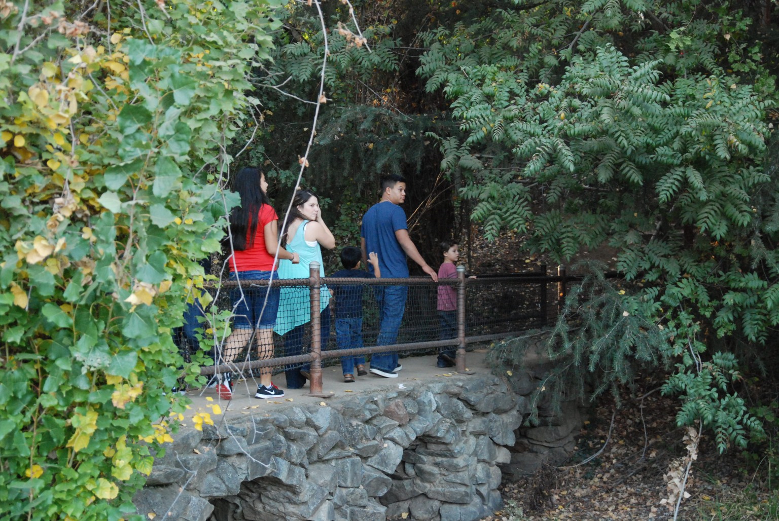 Rail Trail Gardens Pumpkin Patch